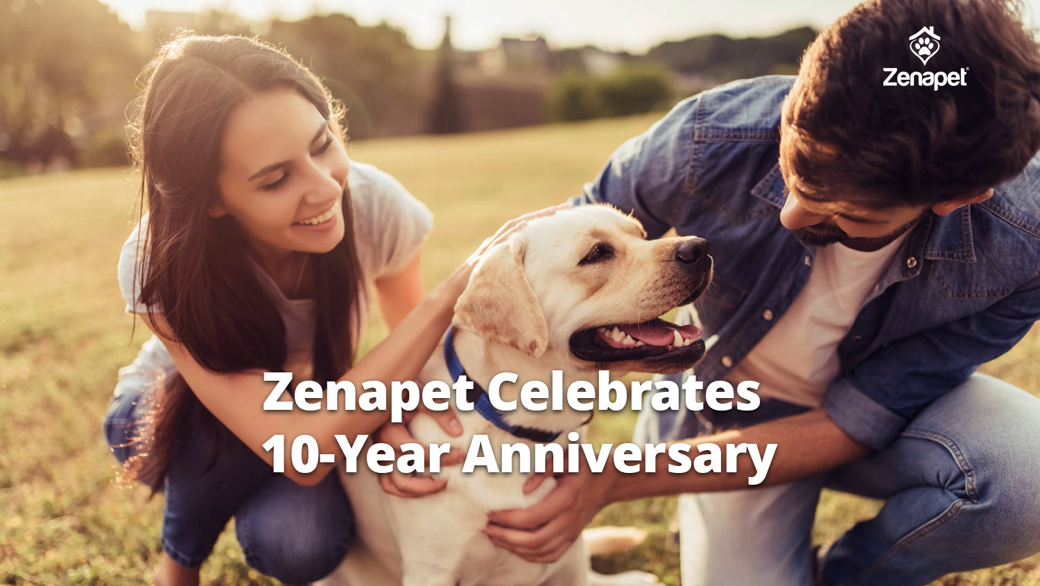 Zenapet Marks 10-Year Anniversary, Reflecting a Decade of Purity in Pet Wellness
