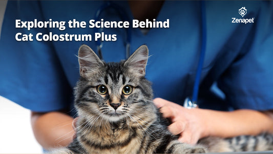Zenapet Announces Educational Initiative on Research-Backed Feline Nutrition with Cat Colostrum Plus