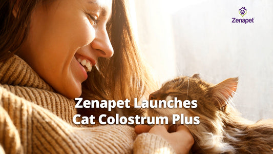 Zenapet Launches Cat Colostrum Plus to Support Feline Immune, Gut, and Skin Health