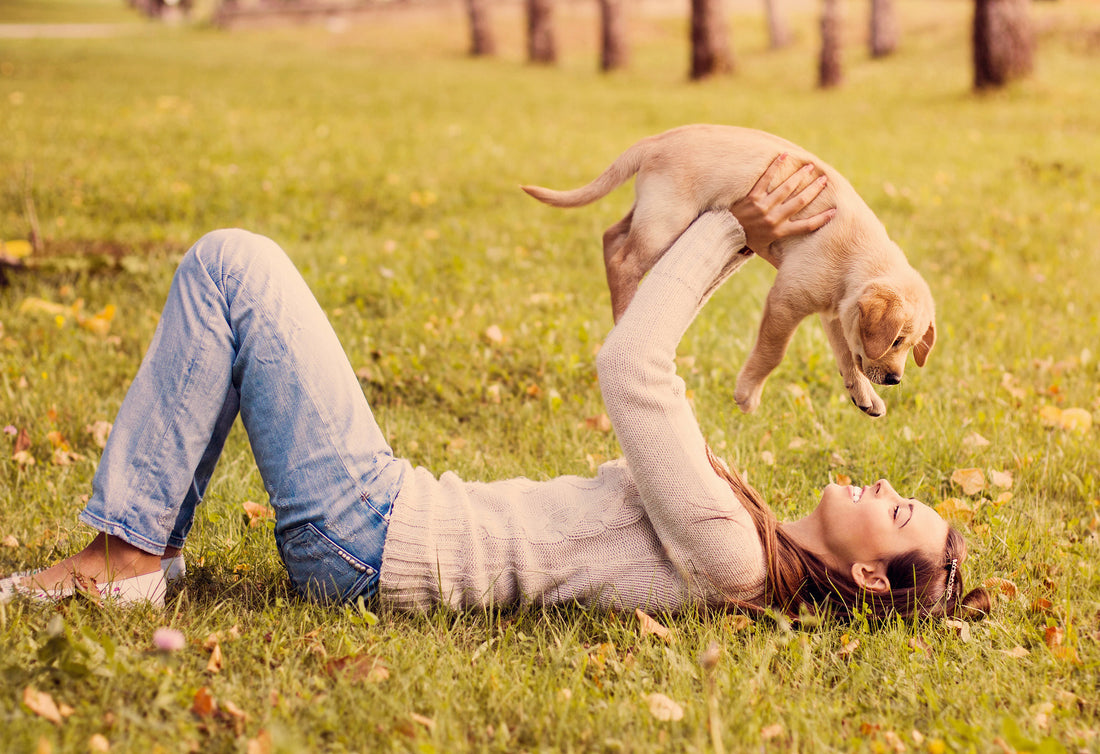 10 Ways To Keep Your Dog Happy And Healthy