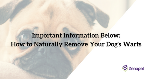 How to Naturally Remove Your Dog's Warts