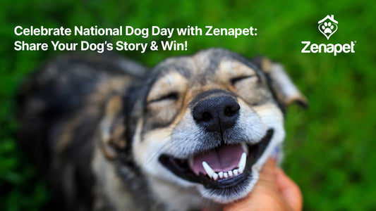 Celebrate National Dog Day with Zenapet: Share Your Dog’s Story & Win!