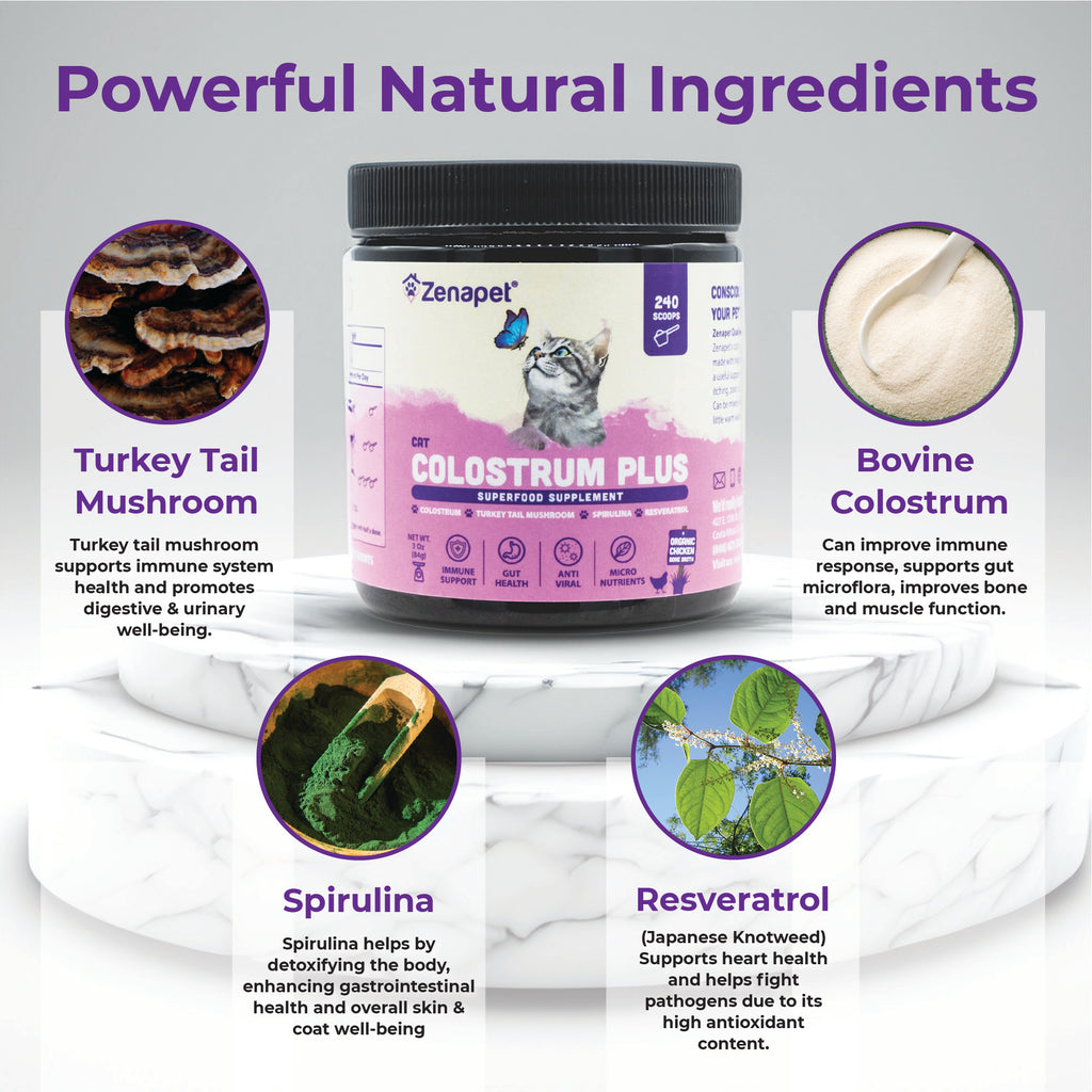 Colostrum Plus Superfood Supplement for Cats - Immune & Gut Support, 240 Servings