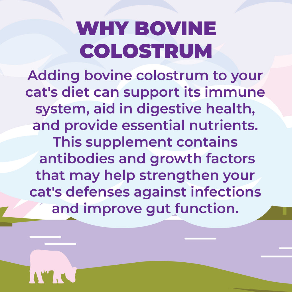 Colostrum Plus Superfood Supplement for Cats - Immune & Gut Support, 240 Servings