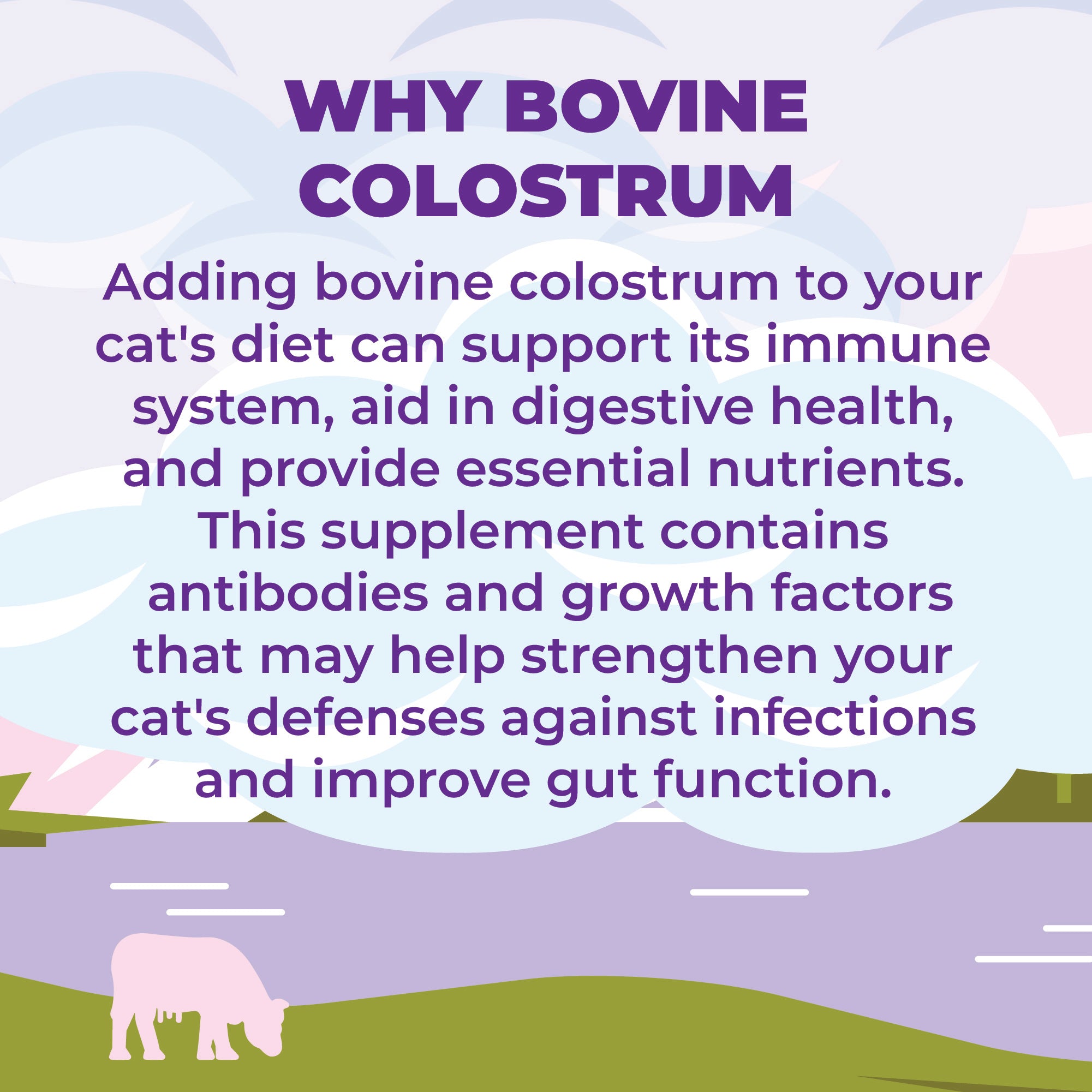 Colostrum Plus Superfood Supplement for Cats - Immune & Gut Support, 240 Servings