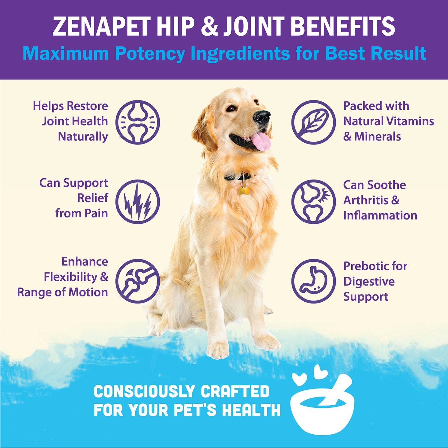 Hip & Joint Superfood Supplement for Dogs