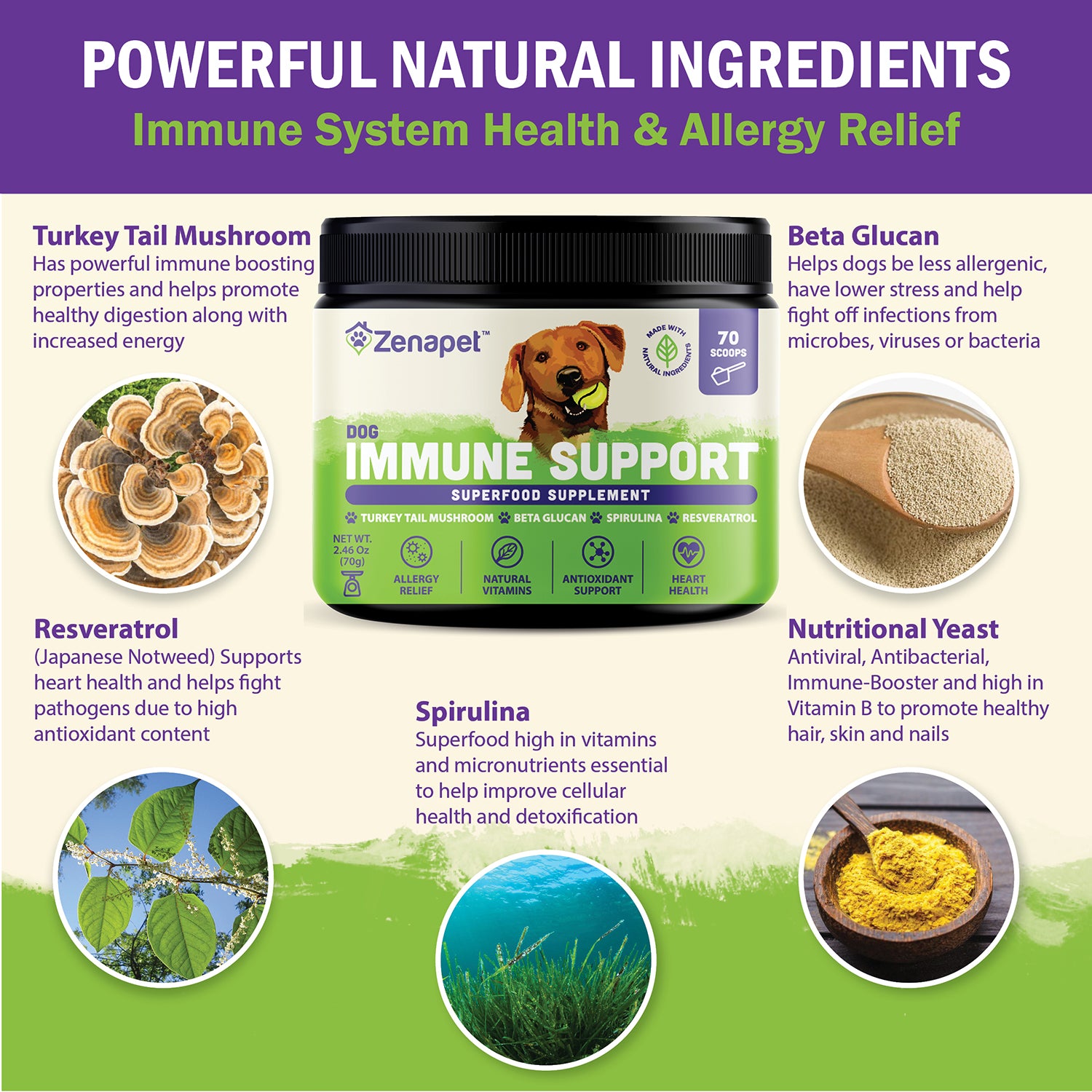 Immune Support Premium Powder Topper for Dogs
