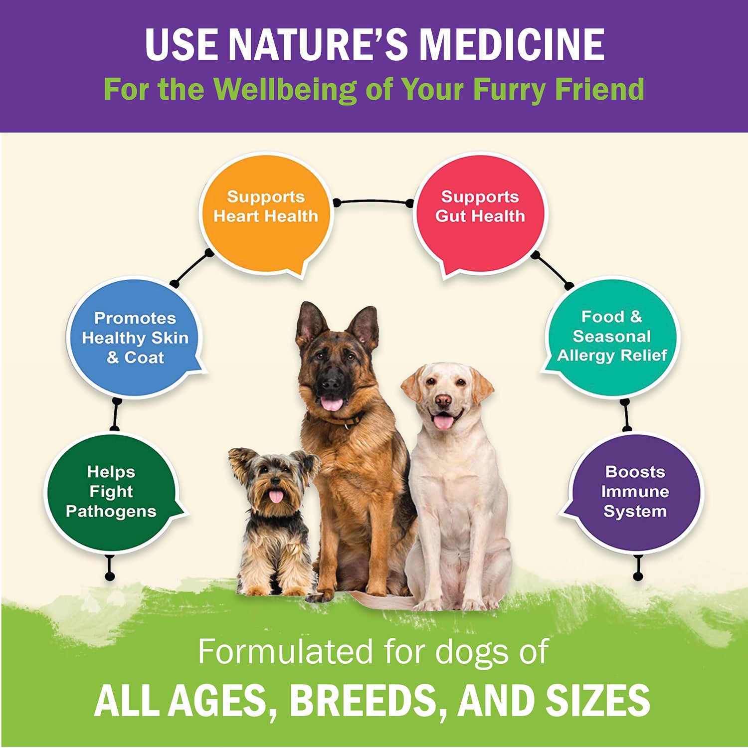 Immune Support Premium Powder Topper for Dogs