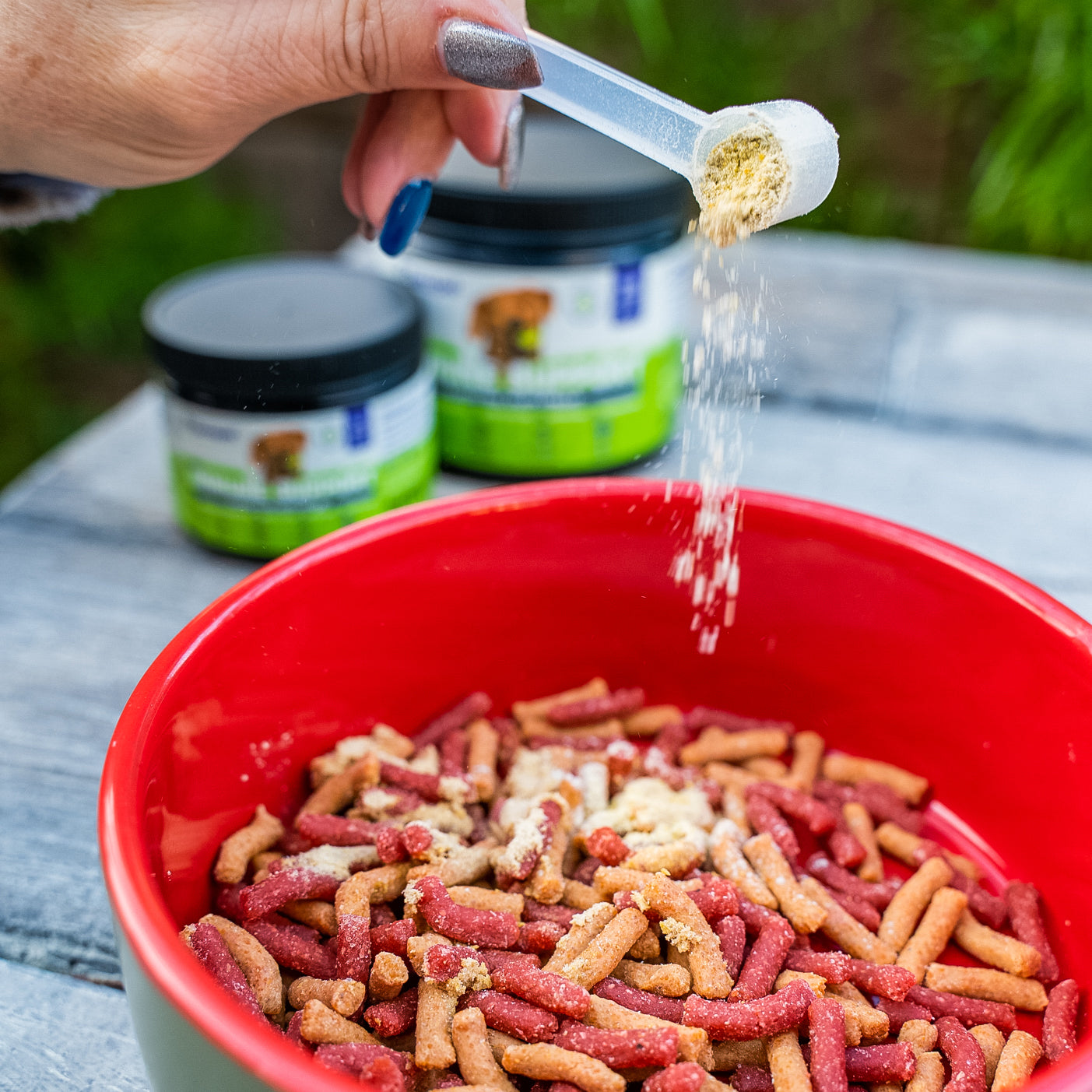 Immune Support Premium Powder Topper for Dogs
