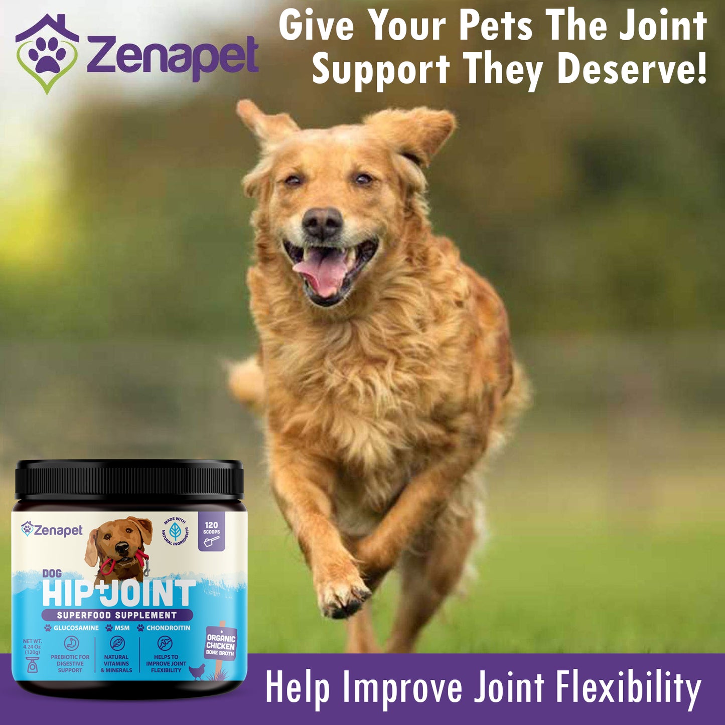 Hip & Joint Superfood Supplement for Dogs