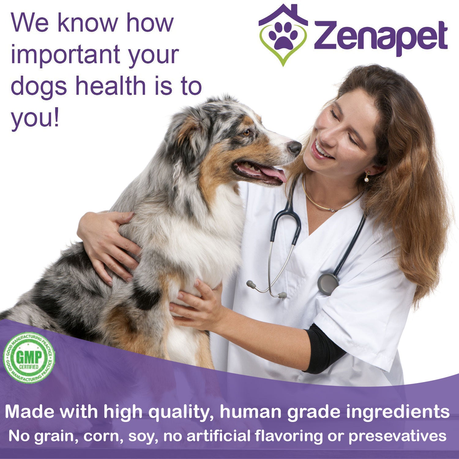 Immune Support Premium Powder Topper for Dogs